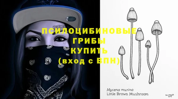 шишки Покров