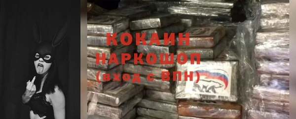 шишки Покров