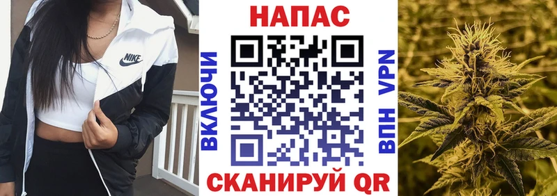 купить наркотик Асино Конопля MAZAR